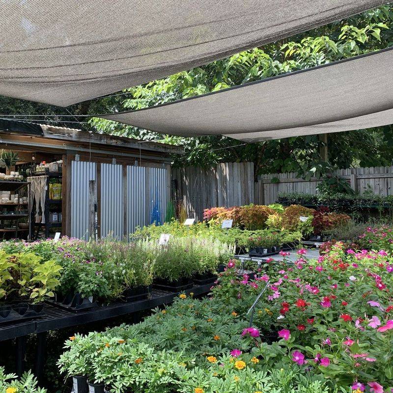 Indian Trails Native Nursery