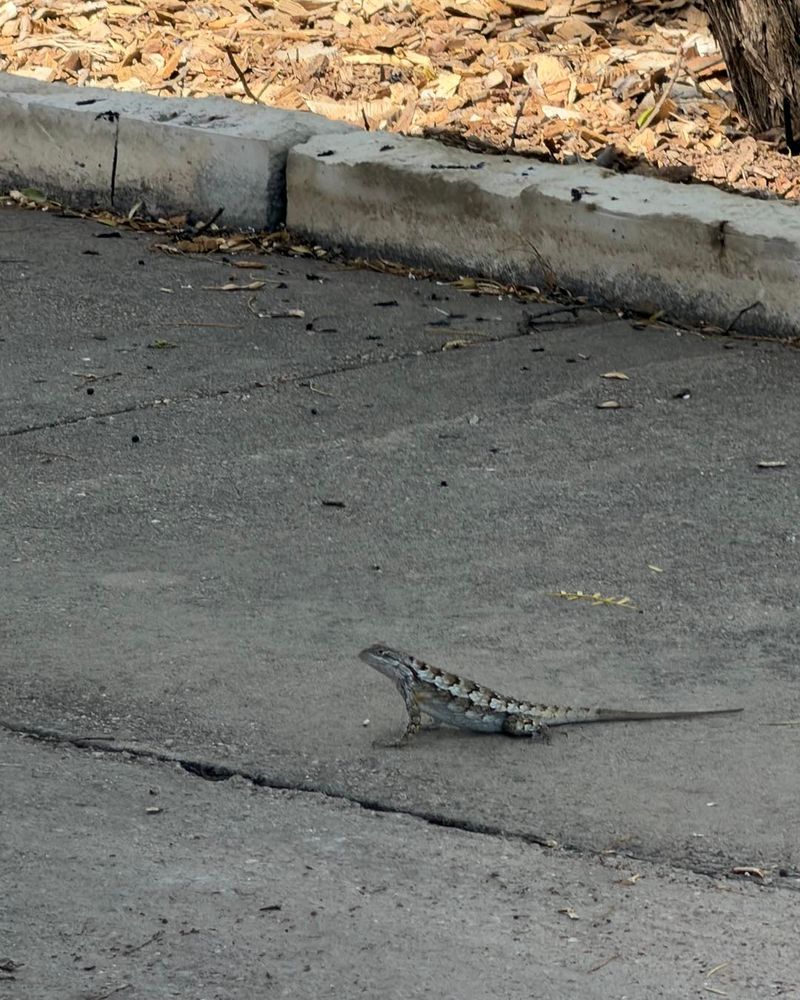 Is a late-October sighting unusual?
