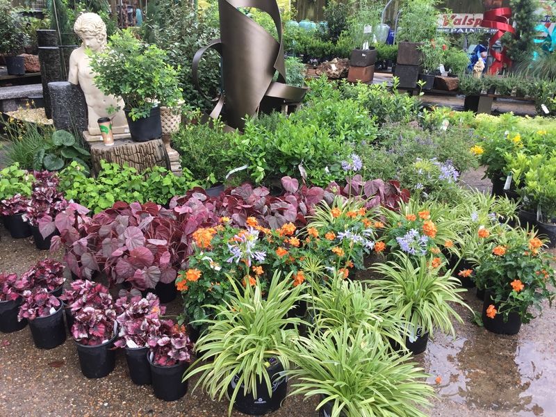 Joshua's Native Plants and Garden Antiques, Houston