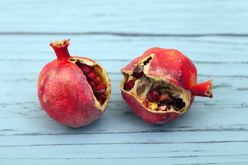 Judge harvest by the fruit, not a fixed date