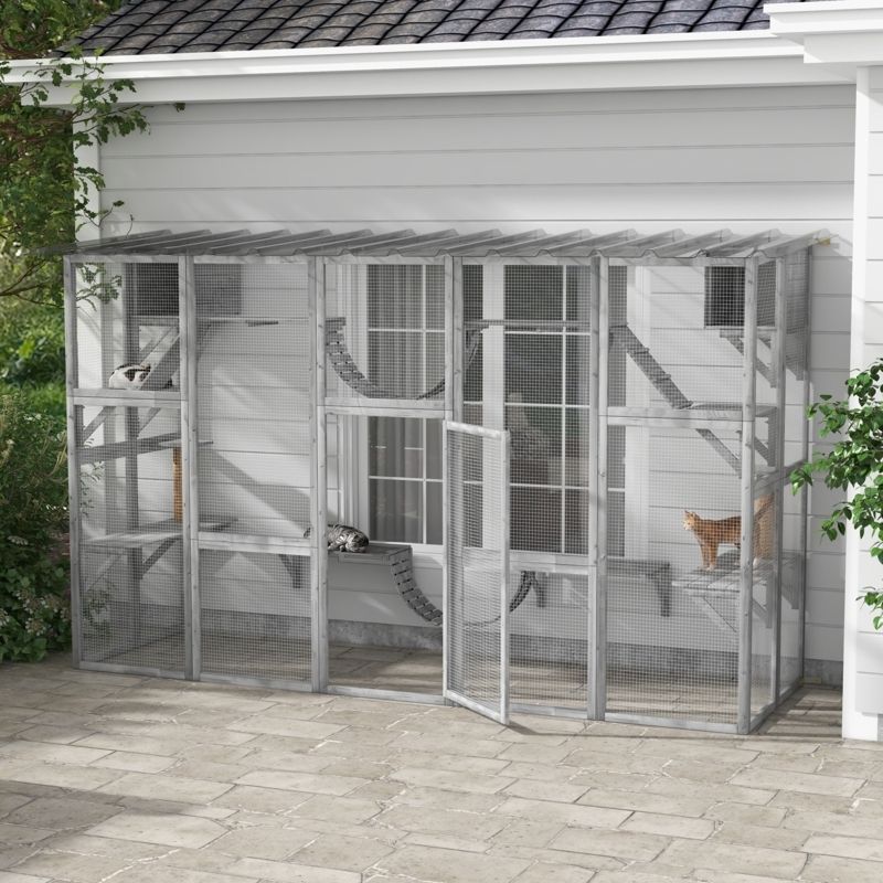 Keep Cats and Sticky Traps Away From Habitat