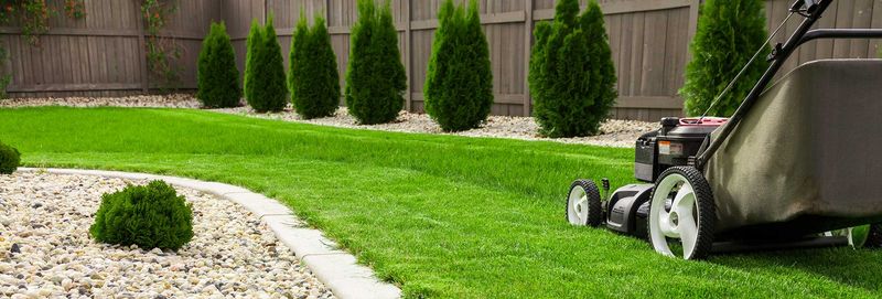 Keep actively growing warm-season turf at its recommended height