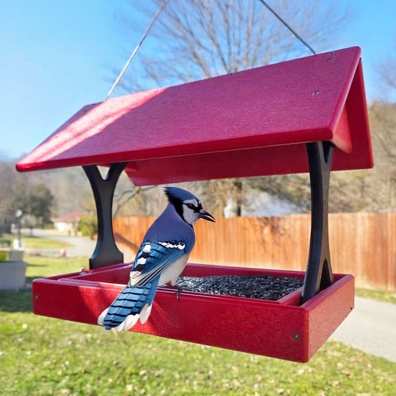 Keep feeders clean if you offer seed