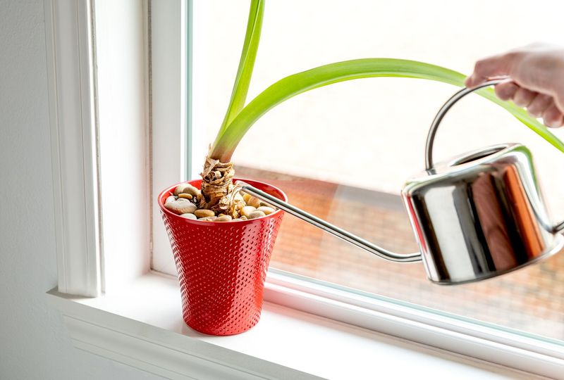 Keep healthy foliage working after flowering