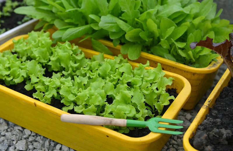 Keep moisture steady without waterlogging