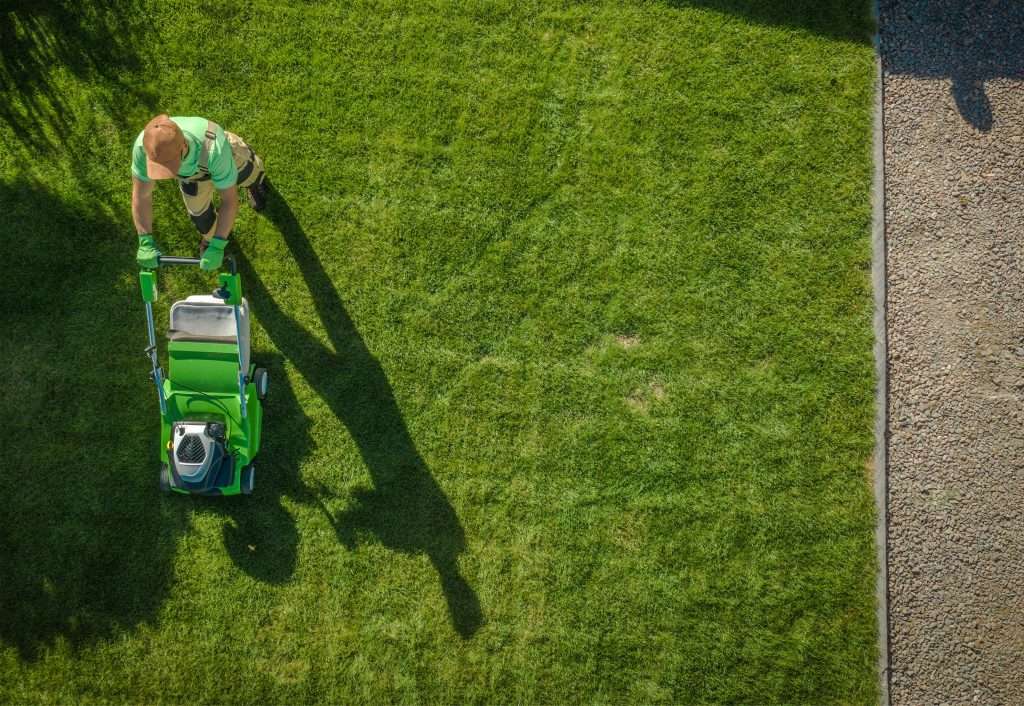 Keep mowing as growth slows; do not scalp