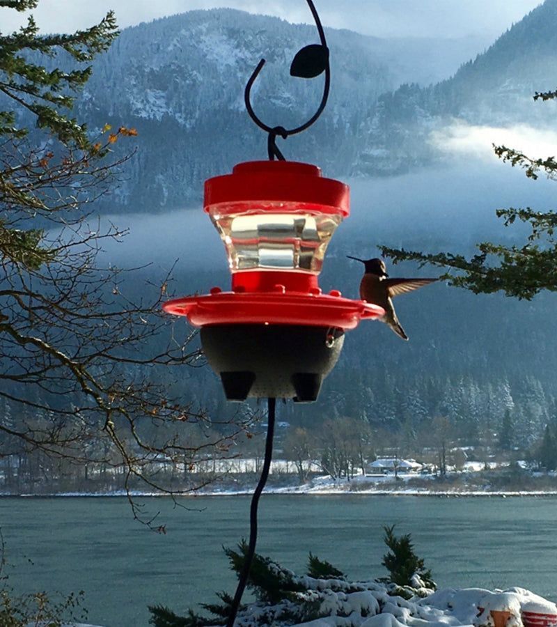Keep nectar available during freezing weather Keep nectar available during freezing weather