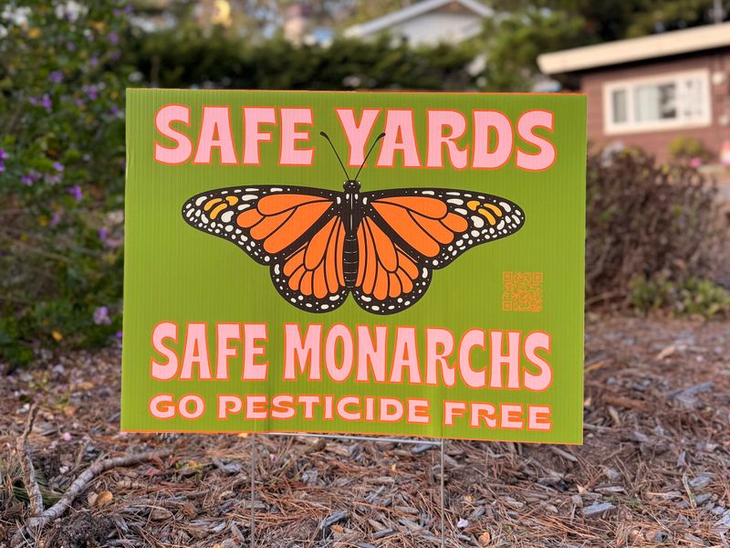 Keep nectar flowers free of insecticides Keep nectar flowers free of insecticides