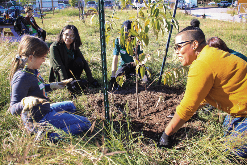 Keep the root ball and surrounding soil in view