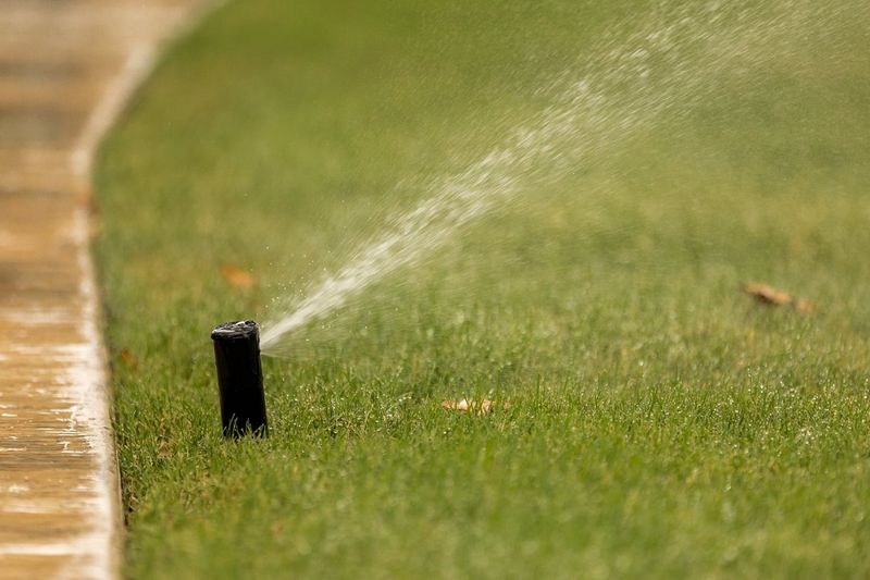 Keeping the Summer Watering Schedule Keeping the Summer Watering Schedule