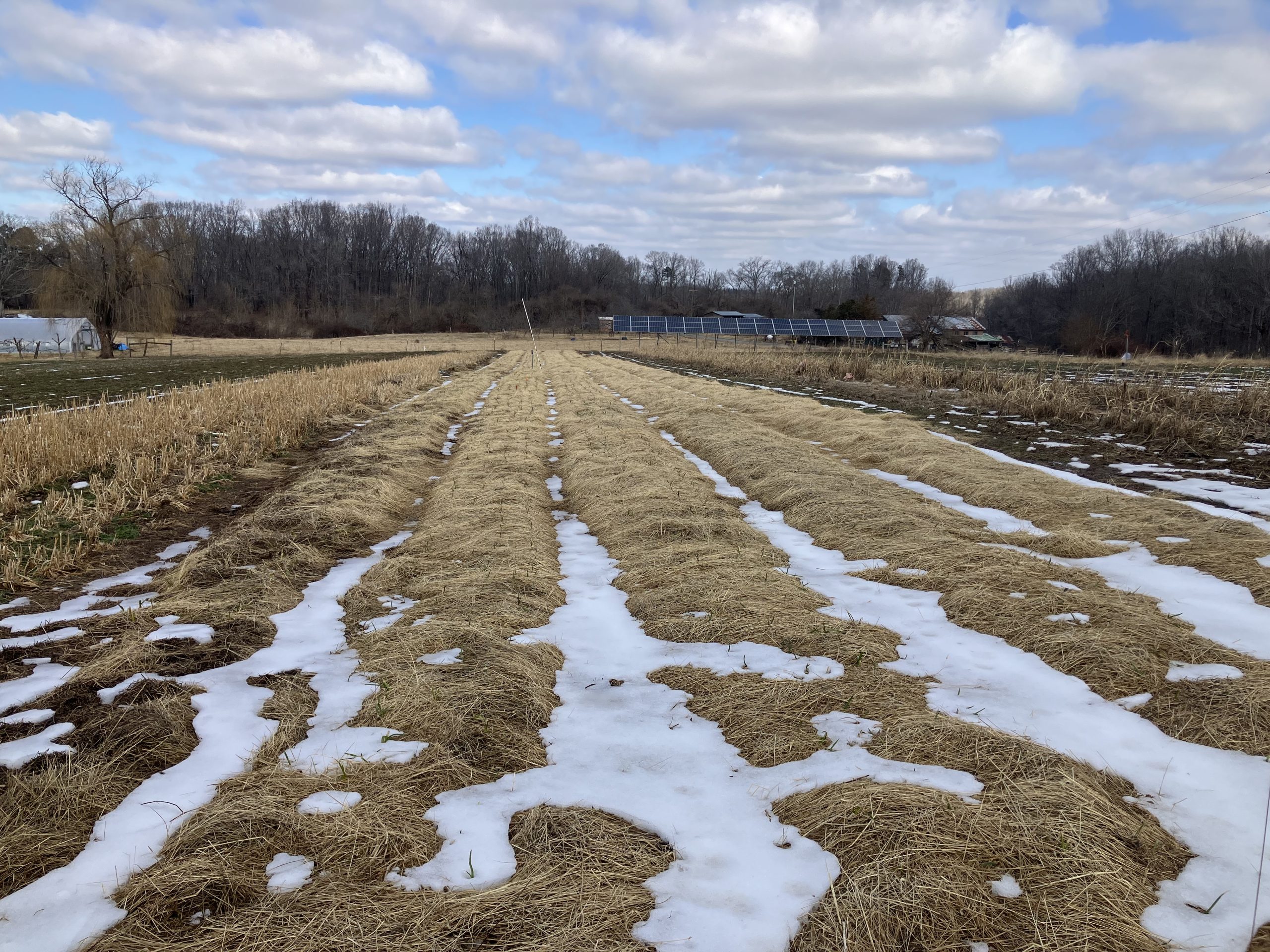 Know when cold or root condition ends the method