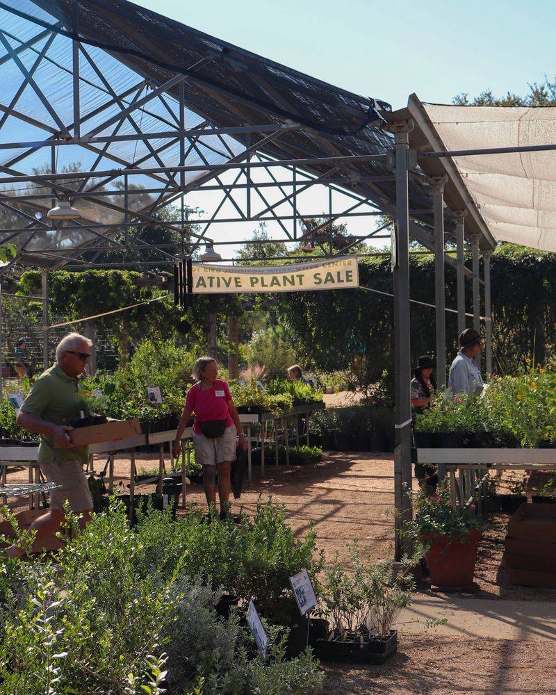Lady Bird Johnson Wildflower Center Plant Sales