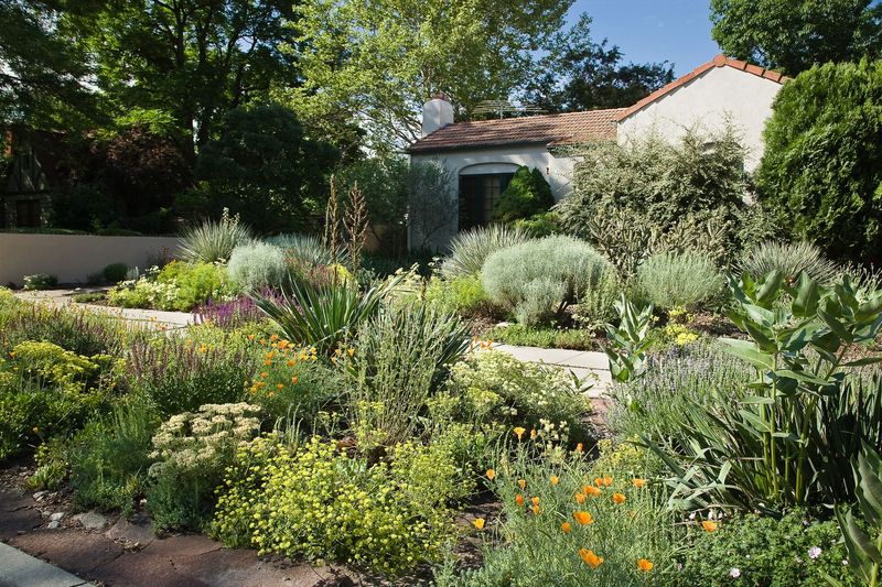 Layers of vegetation offer shelter and places to move