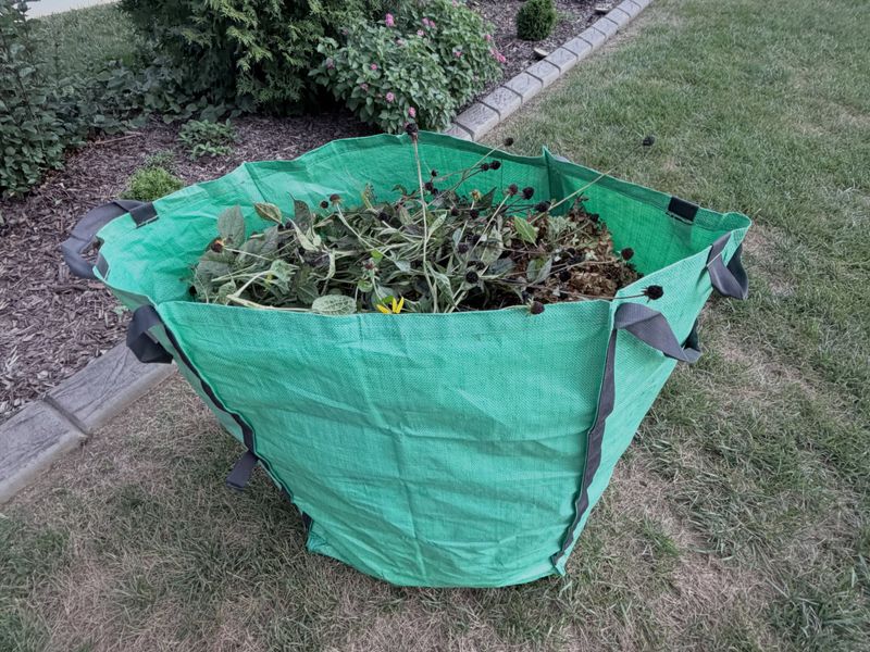 Leaf cleanup is for disease control, not bigger blooms Leaf cleanup is for disease control, not bigger blooms