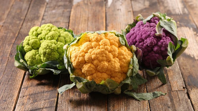 Leave colored cauliflower and Romanesco exposed to light Leave colored cauliflower and Romanesco exposed to light
