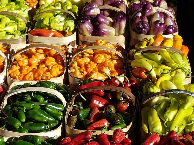Let a soil test guide fertilizer and pH decisions