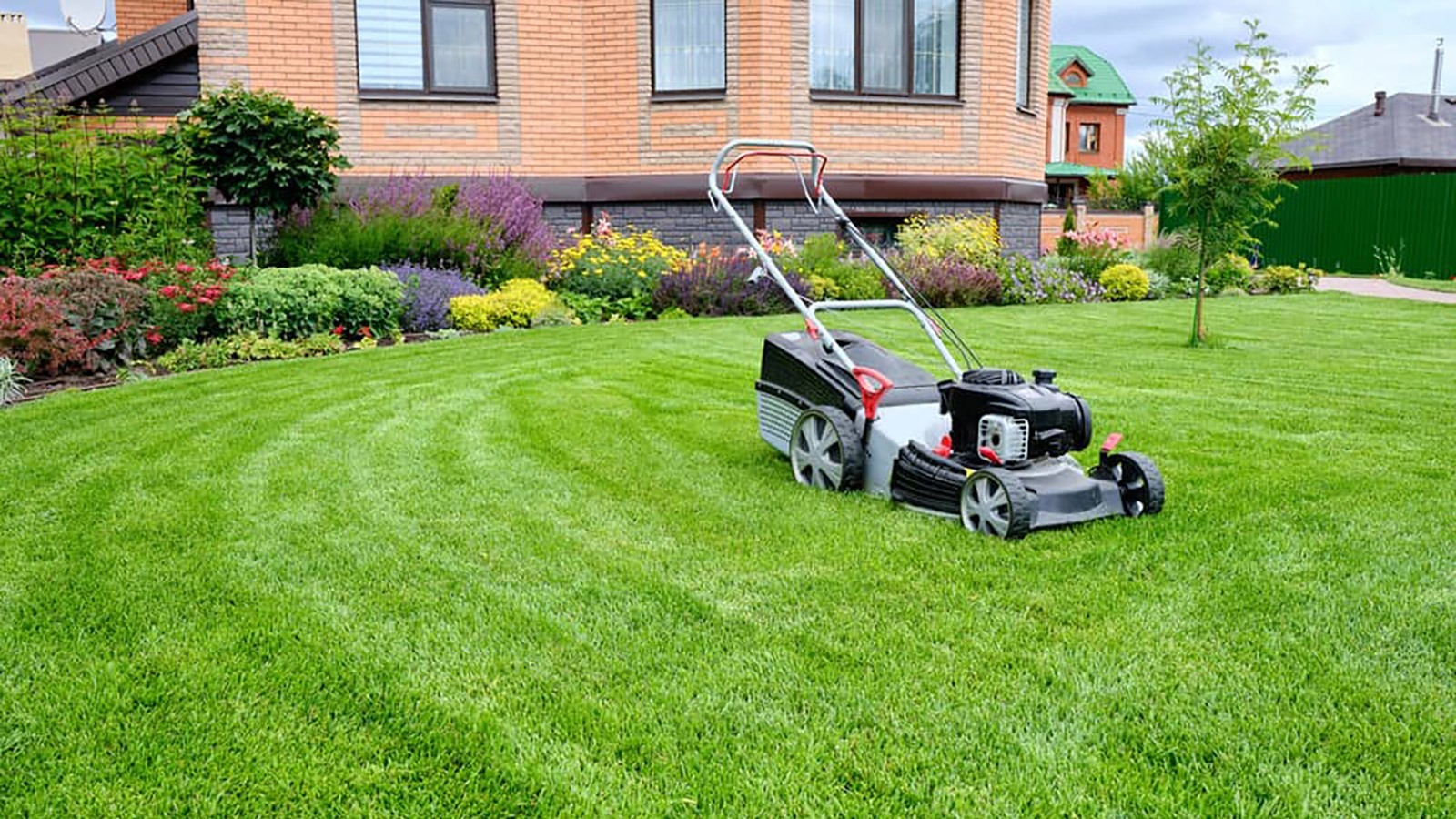 Let active growth—not a calendar date—set the final mowing decision