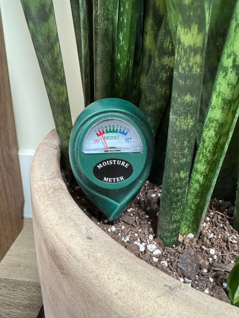 Let conditions—not a calendar—guide watering