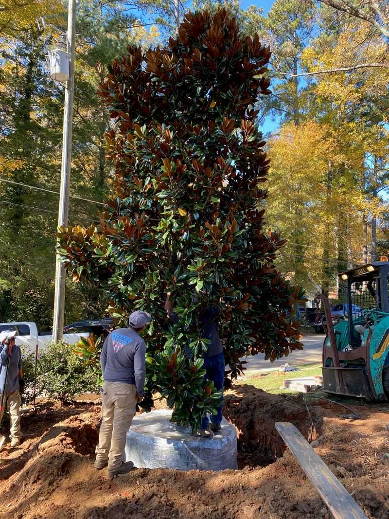 Let local conditions and NC State’s guidance make the call