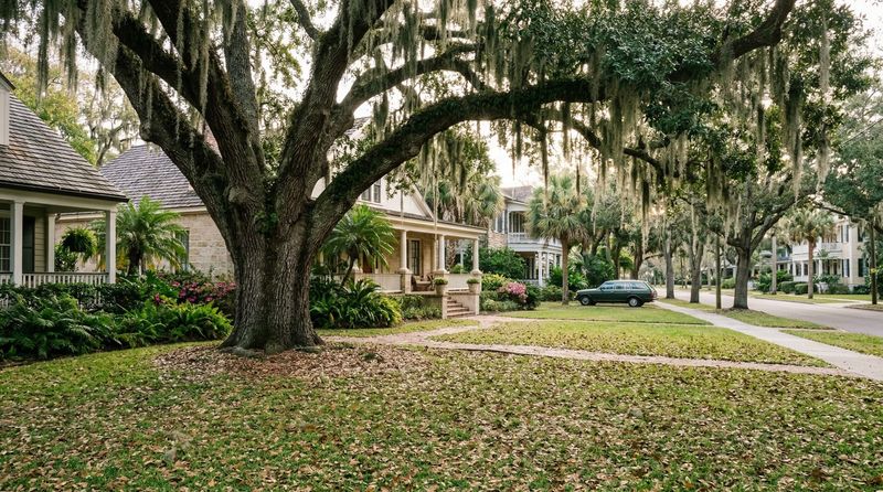 Let local leaf drop and lawn conditions set the timing Let local leaf drop and lawn conditions set the timing
