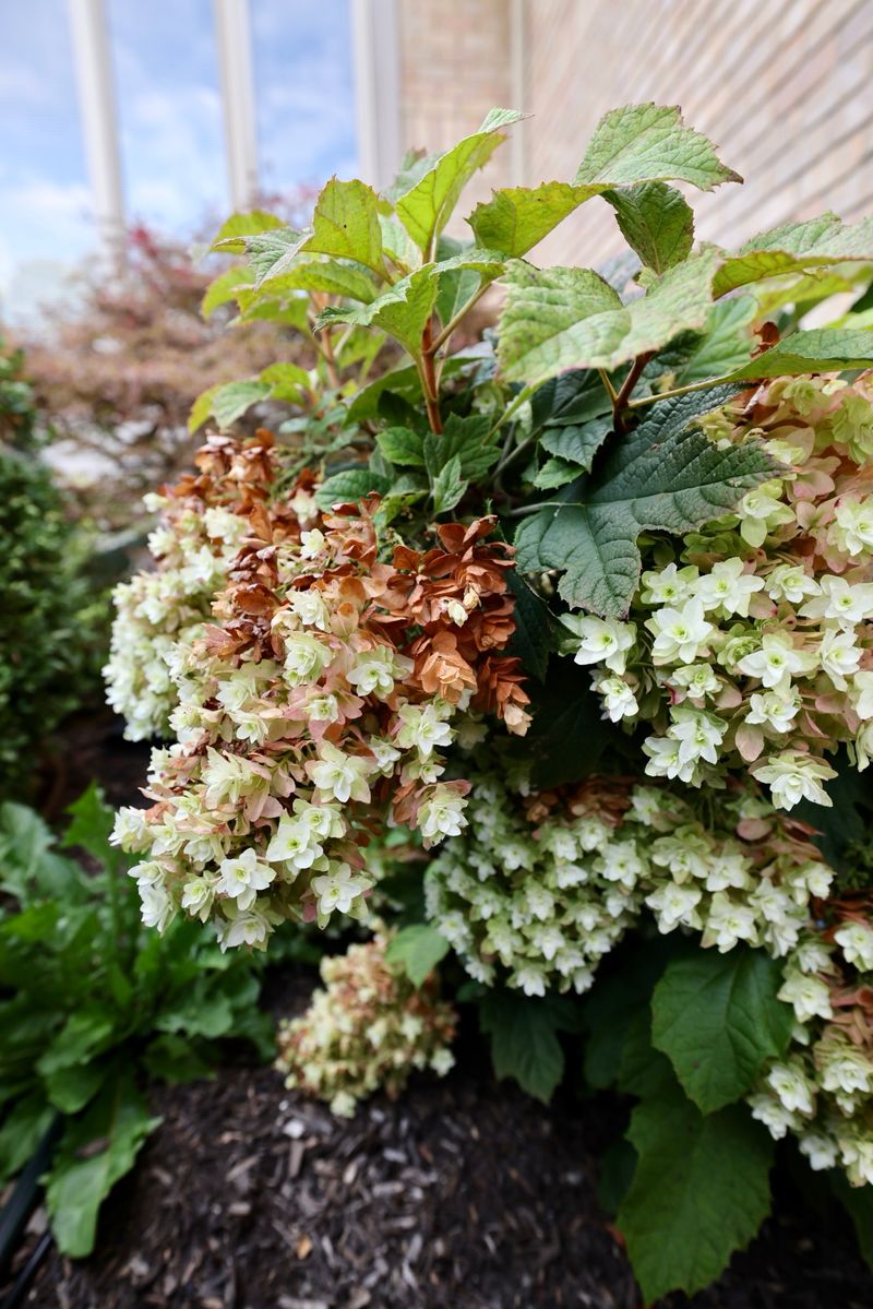 Let soil moisture set your fall watering rule