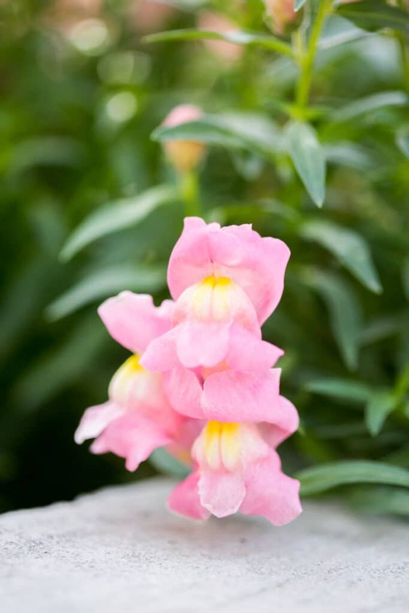 Let the mix—not the calendar—guide watering