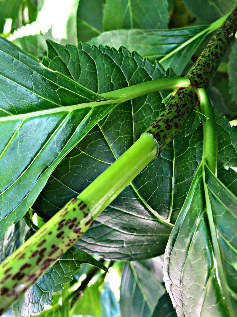 Let the roots—not the calendar—set the finish line