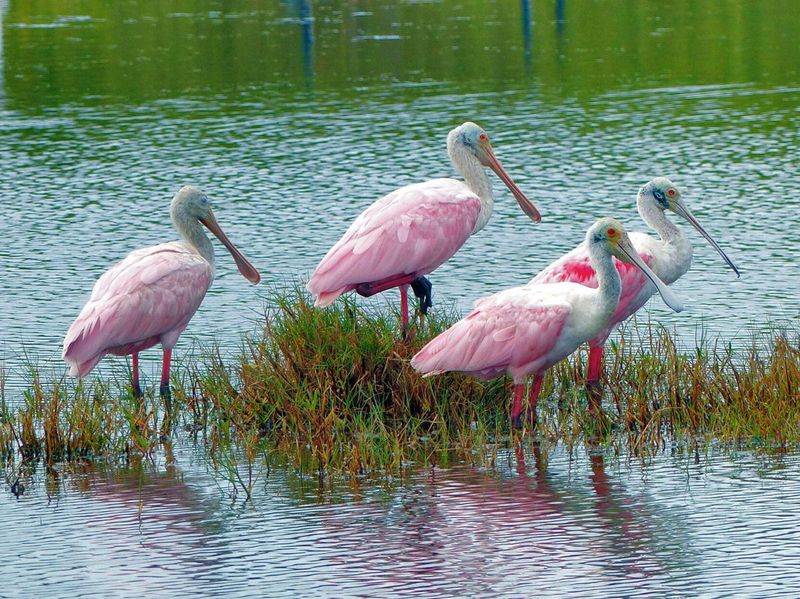 Let the sighting guide your attention, not your verdict