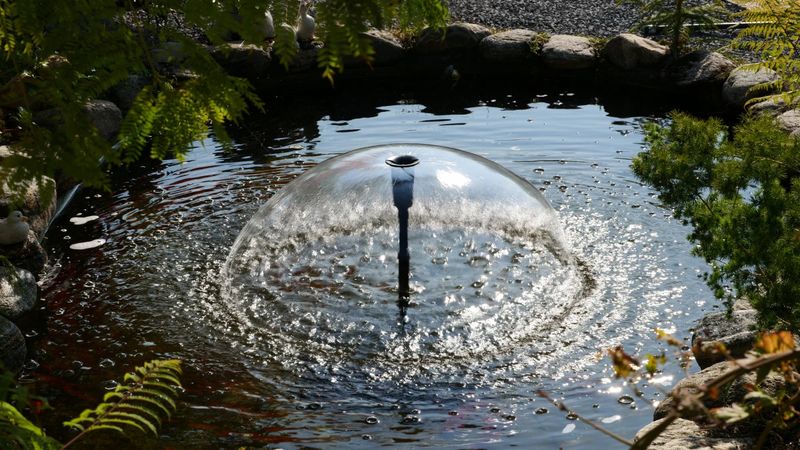 Maintain water features to limit mosquito problems
