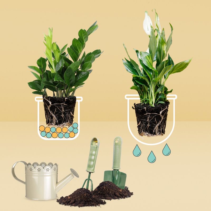 Make drainage the final reuse test