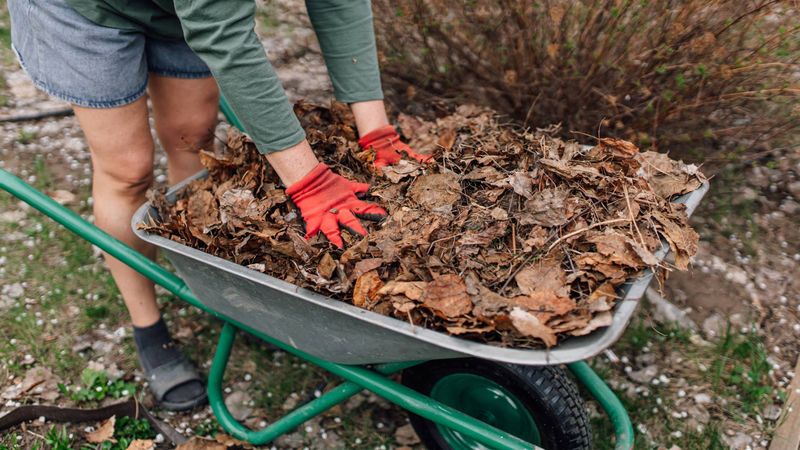Make fall care a useful first step