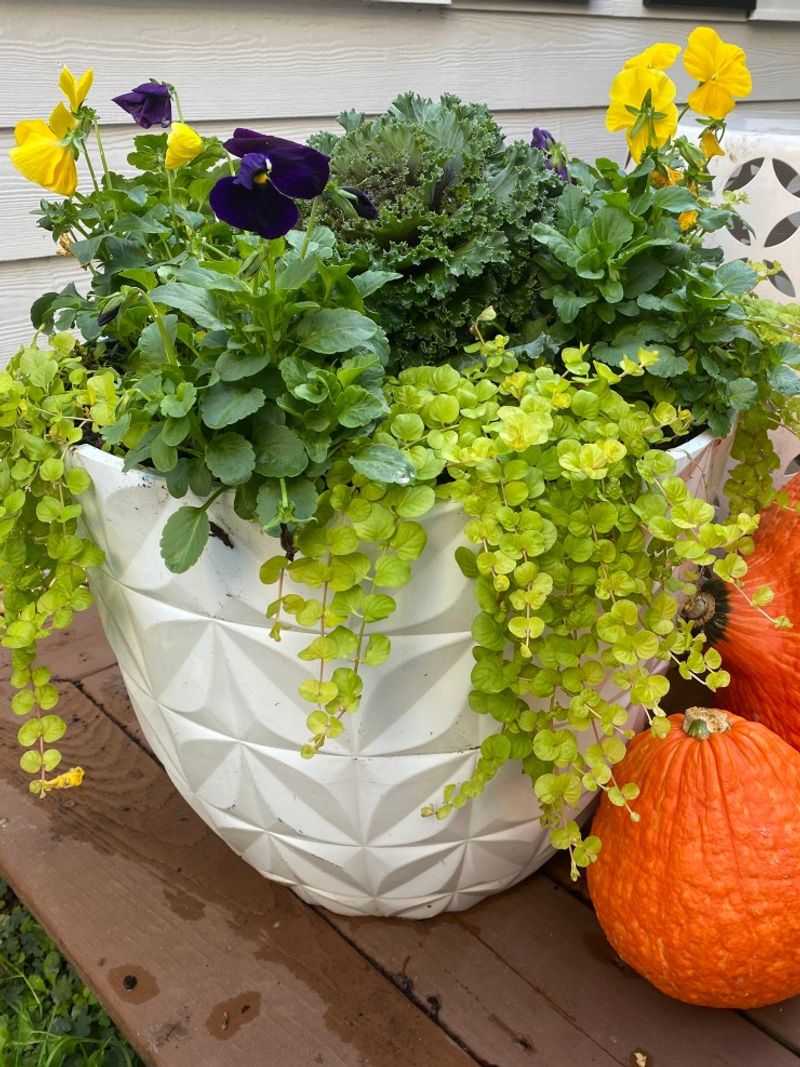 Make fall cleanup a head start, not a planting deadline