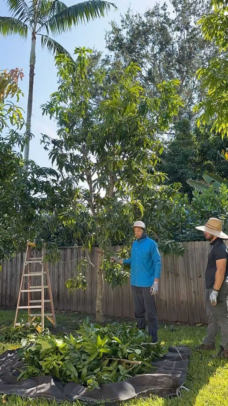 Make pruning part of the long-term plan