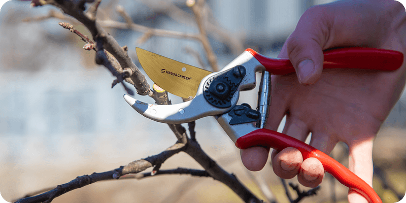 Make selective cuts with suitable tools