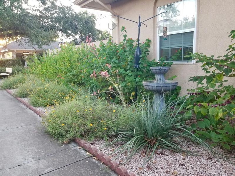 Make the vine one part of a wildlife-friendly yard Make the vine one part of a wildlife-friendly yard