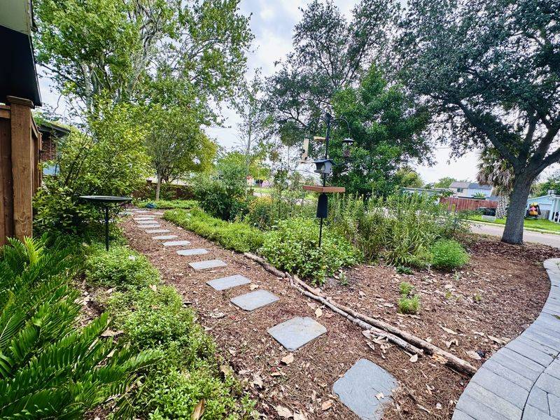 Make the yard more useful to birds