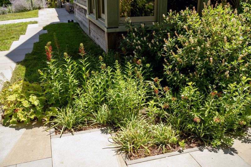 Make the yard welcoming, without expecting a guarantee Make the yard welcoming, without expecting a guarantee