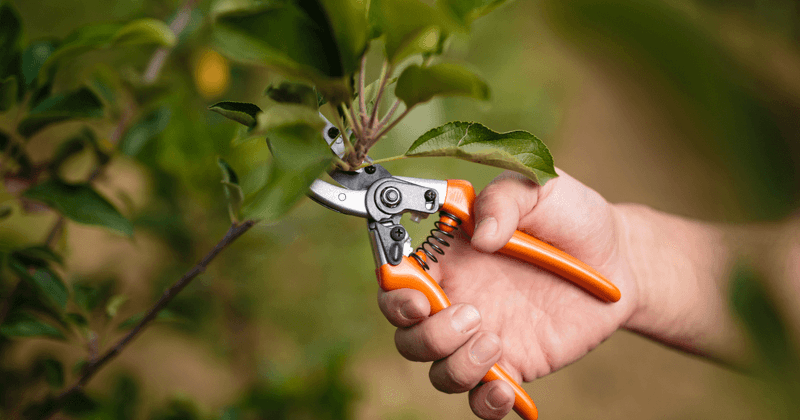 Manage cover and water without stripping the yard