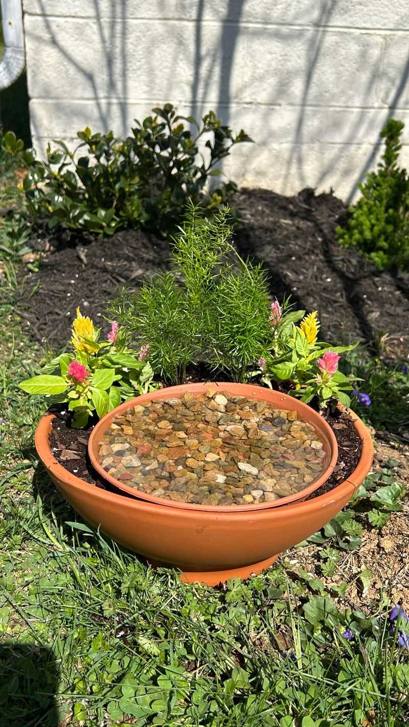 Manage standing water to reduce mosquitoes