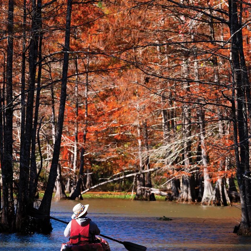 Martin Dies Jr. State Park