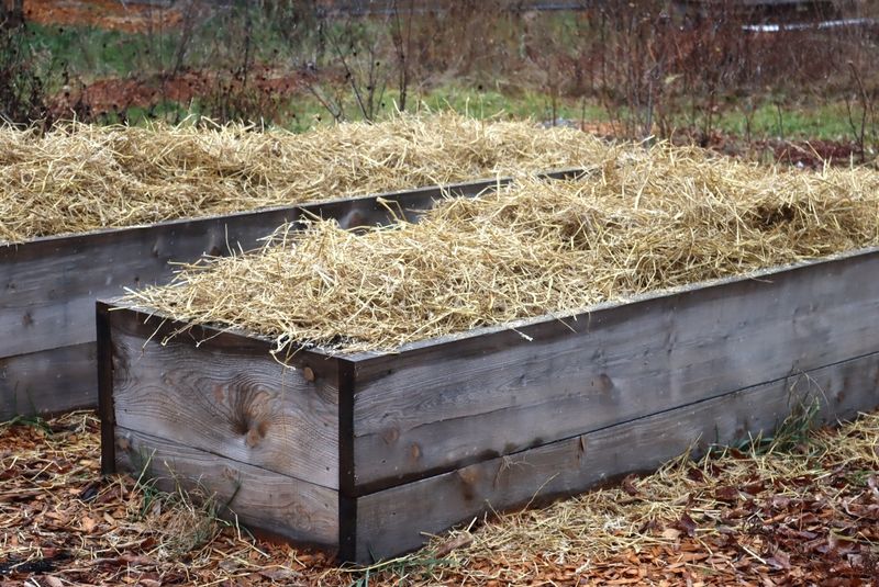 Match mulch depth to the crop and climate