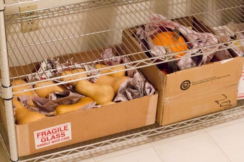 Match storage conditions and expectations to the fruit