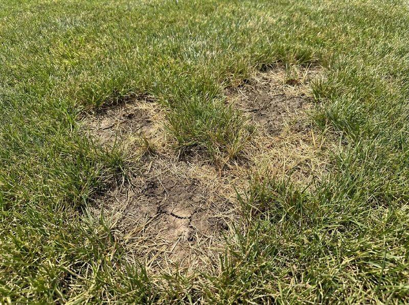 Match the next repair to the evidence