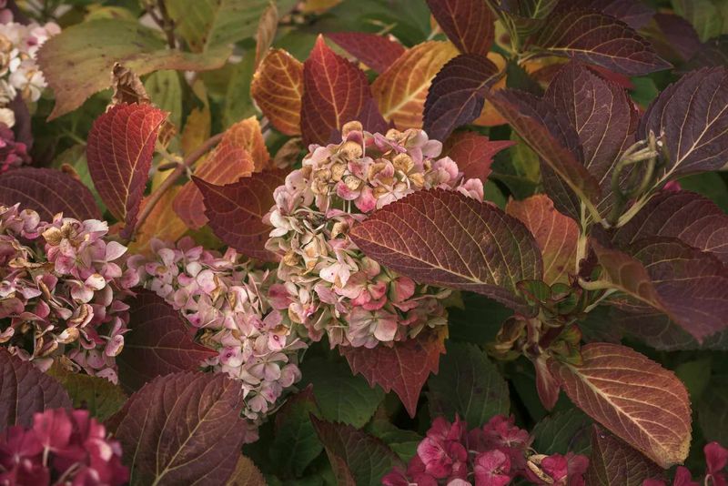 Mistake to Skip: Late-Season Fertilizing