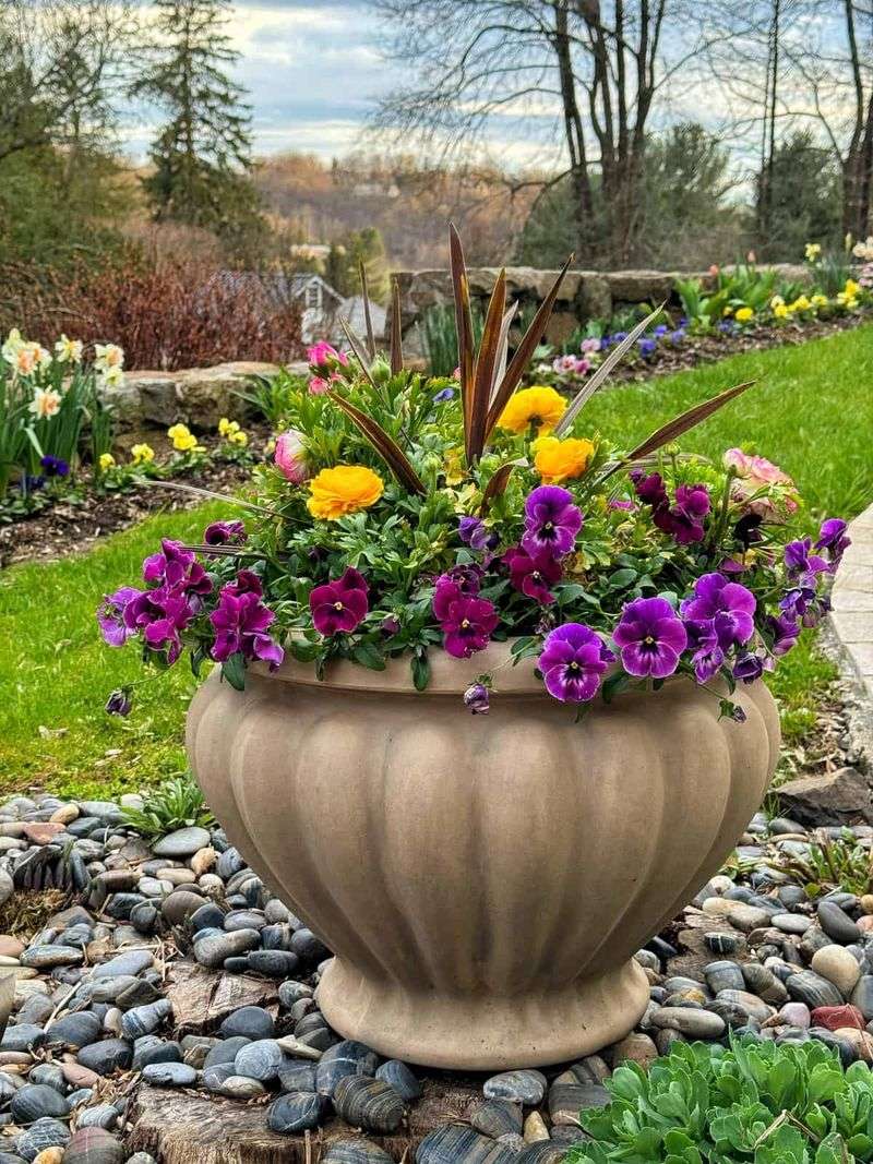 Move a pot easily, but reassess a bed before replanting Move a pot easily, but reassess a bed before replanting