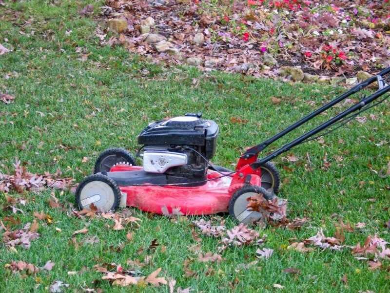 Mow dry leaves before they build into a mat Mow dry leaves before they build into a mat