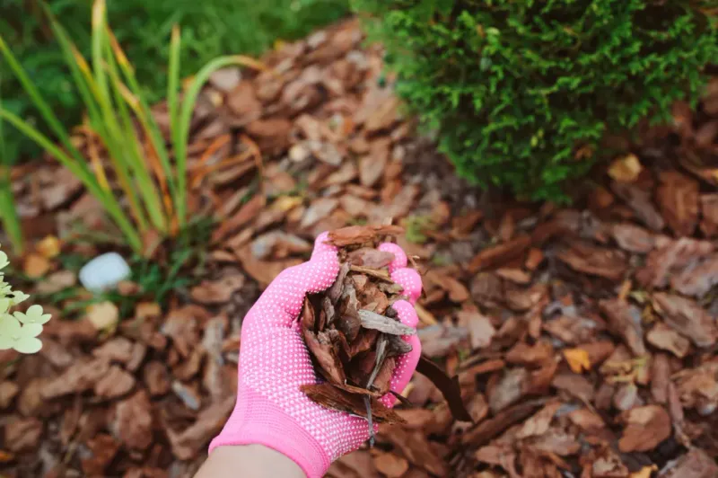 Mulch has limits and needs upkeep