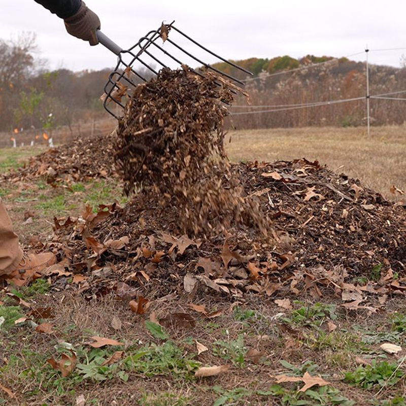 Mulch the Root Zone Generously