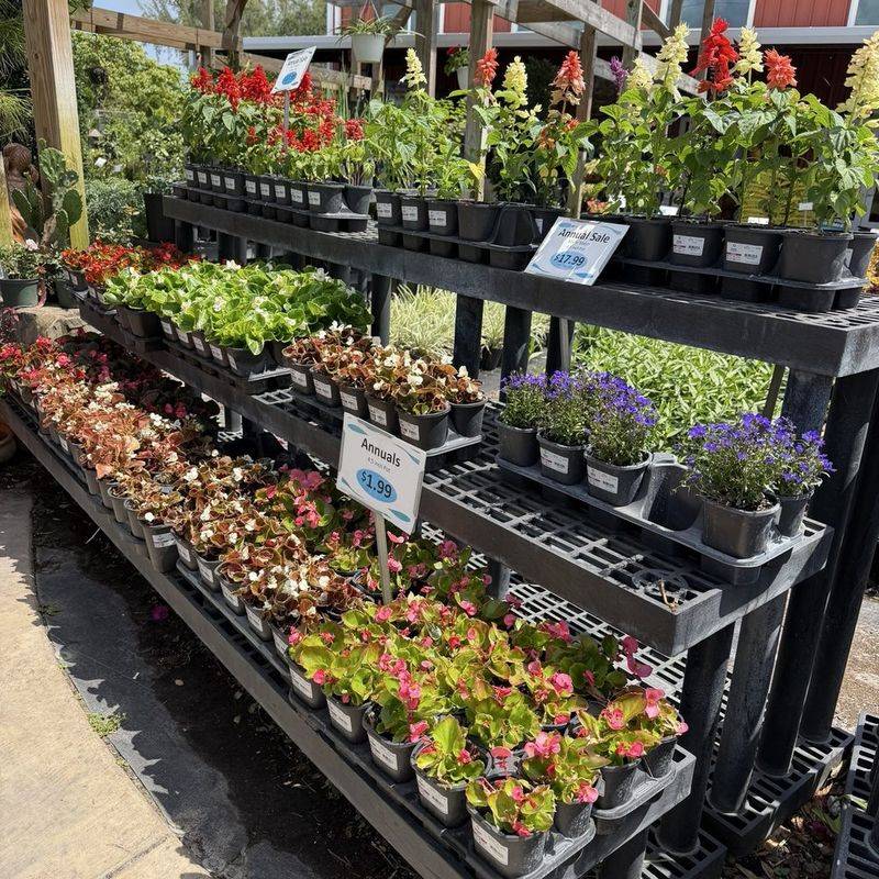 Native Choice Nursery