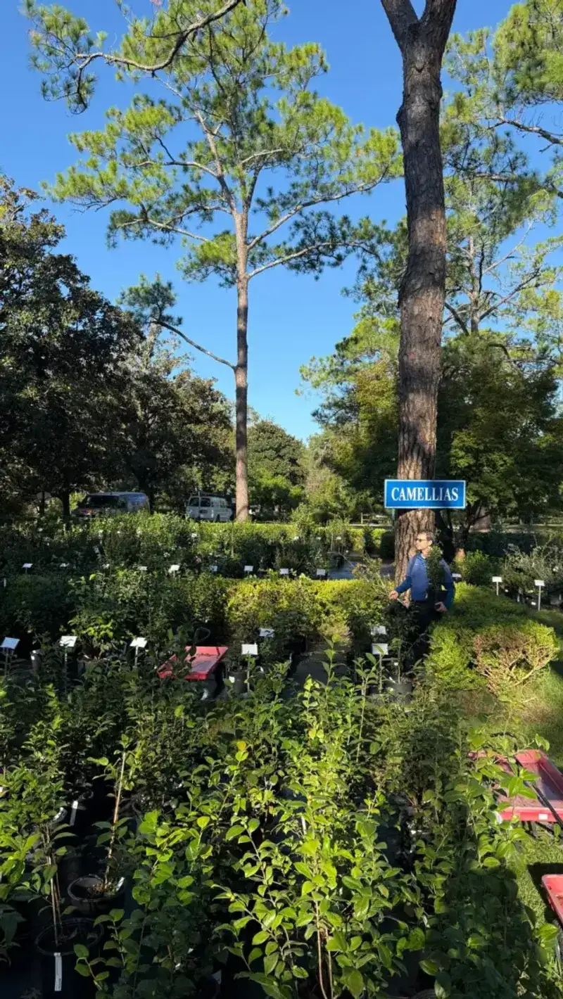 Native Nurseries in Tallahassee